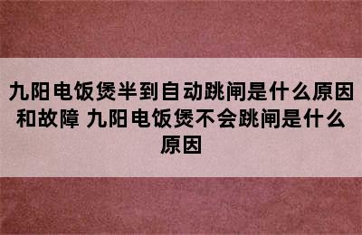 九阳电饭煲半到自动跳闸是什么原因和故障 九阳电饭煲不会跳闸是什么原因